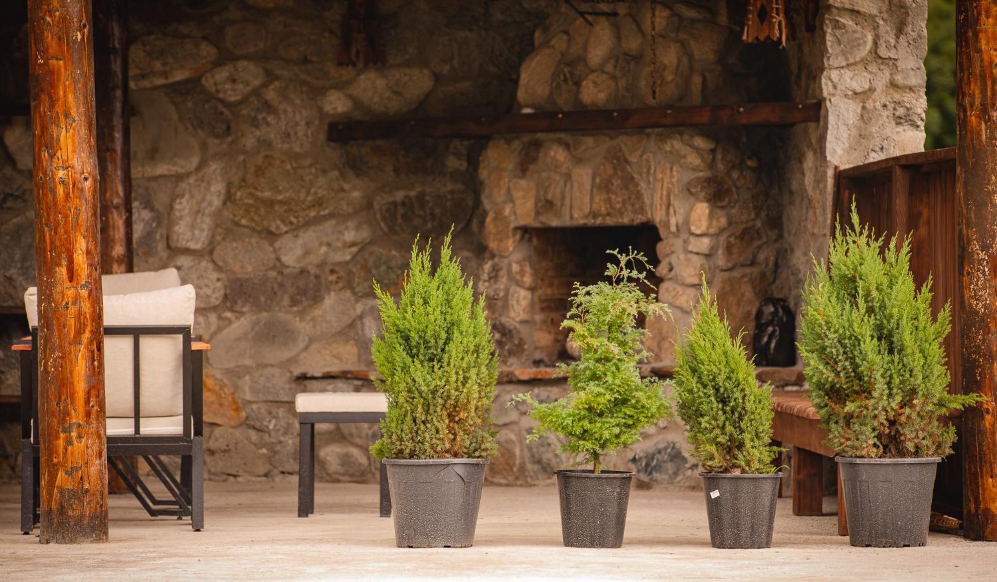 Mestia Villas Villa *